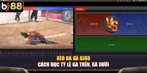 Kèo Đá Gà BJ88 – Cách Đọc Tỷ Lệ Gà Trên, Gà Dưới Chuẩn