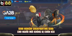 Kinh Nghiệm Cockfighting BJ88 Cho Người Mới Không Bị Cuốn Kèo